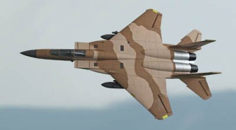 RC Wing Bag, RC Wing Carrier, RC Jet Wing Bags, AcewingCarrier.com