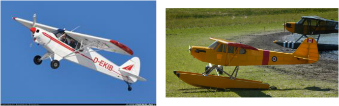 RC Wing Bag, RC Wing Carrier, RC Large Scale Wing Bags, AceWingCarrier.com