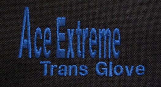 RC Transmitter Glove by Ace Wing Carrier Customs.